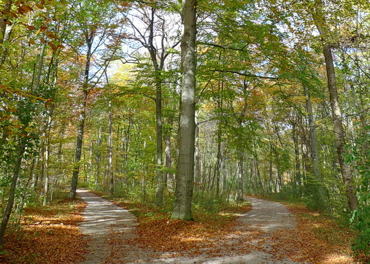 Wenn ein Kind geht – geschützte Trauergruppe für „verwaiste Eltern“