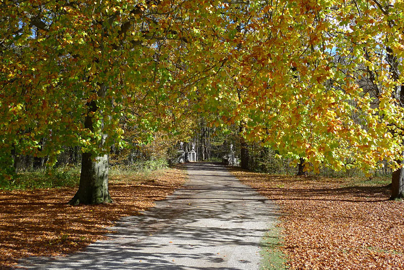 Trauerspaziergang